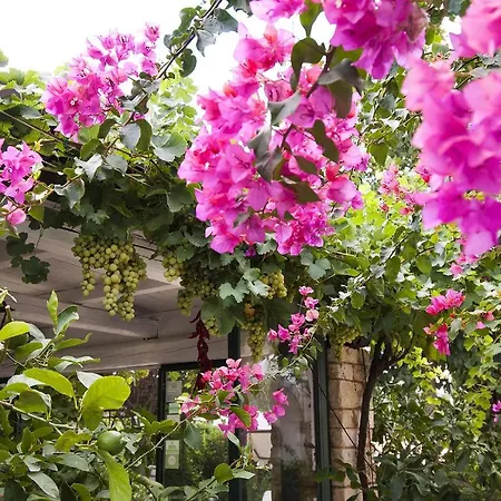 Bed & Breakfast Casa Soleluna *
